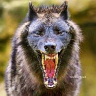 11059680_666588310136863_2392330010357972274_n