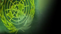 United Nations logo green