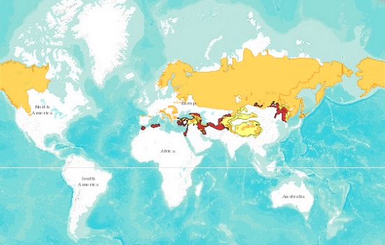 brown-bear-distribution-map