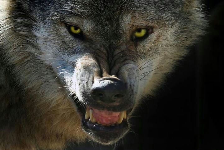 aac5dfc310ba60046a03544d27c87c1b