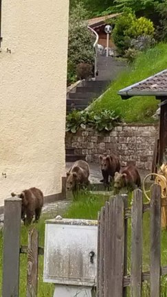 60423520_10217431652454855_6304556492066390016_n